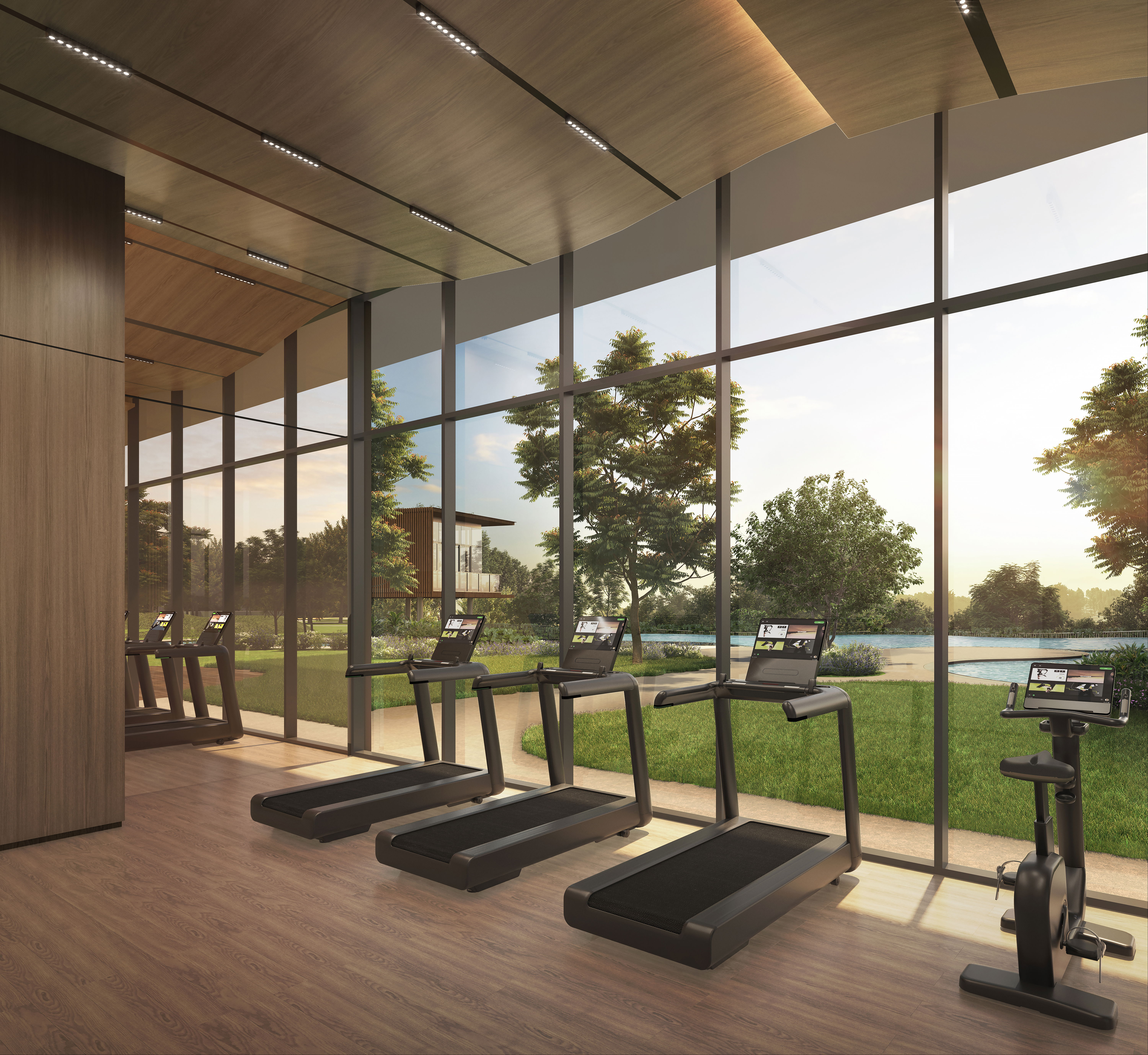 Gymnasium